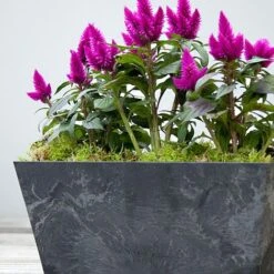 Balcony Trough Ella Black H17Cm D37Cm -Garden Pro Shop 107823 1