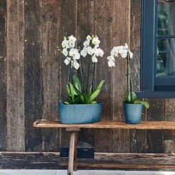 Pula Recylable Planter Sapphire H25Cm D24Cm -Garden Pro Shop 150609 1copy