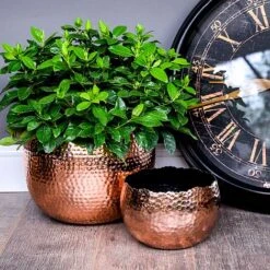 Hammered Bowl Copper/Black 19Cm -Garden Pro Shop AC19C 2