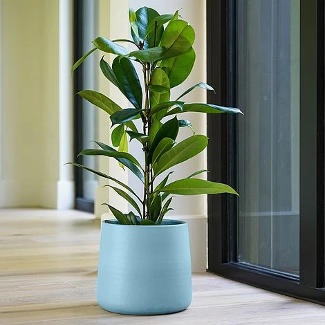 Akemi Planter Nordic Blue H20CM D22CM 2 Akemi Planter Nordic Blue H20CM D22CM - Image 2