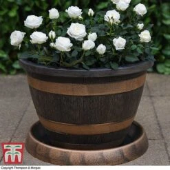 Wooden Barrel Effect Pot & Saucer 8 Wooden Barrel Effect Pot & Saucer -Garden Pro Shop BARR KA8437 C