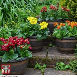 Wooden Barrel Effect Pot & Saucer 9 Wooden Barrel Effect Pot & Saucer -Garden Pro Shop BARR POT A1