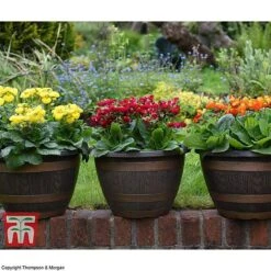 Wooden Barrel Effect Pot & Saucer 10 Wooden Barrel Effect Pot & Saucer -Garden Pro Shop BARR POT B1