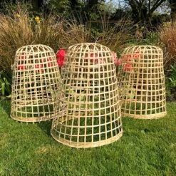 Bamboo Bell Cloche & Garden Plant Protection Cover - Medium -Garden Pro Shop Bamboo20Cloche20pk203201000x100020973kb1