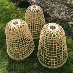 Bamboo Bell Cloche & Garden Plant Protection Cover - Large -Garden Pro Shop Bamboo20Cloche20pk203201000x100020992kb