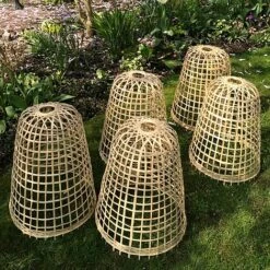 Bamboo Bell Cloche & Garden Plant Protection Cover - Medium -Garden Pro Shop Bamboo20Cloche20pk205201000x100020916kb1