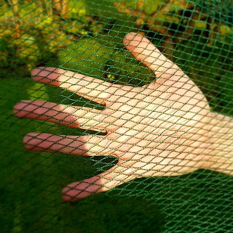 Soft Butterfly Mesh Netting For Cabbages Brassicas & Plants - 6m Wide 2 Soft Butterfly Mesh Netting For Cabbages Brassicas & Plants - 6m Wide - Image 2