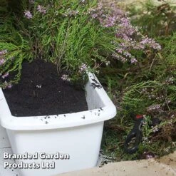 Ericaceous Compost -Garden Pro Shop COMP ERICACEOUS L35278