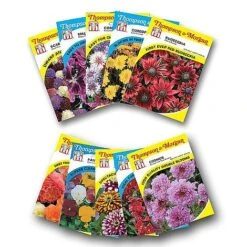 Seed Collection Tin - Gift 11 Seed Collection Tin - Gift -Garden Pro Shop FLOW T45153P A h1