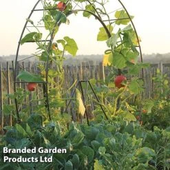 Circular Plant Growing Frame -Garden Pro Shop FRAM LONDONEYE S41918