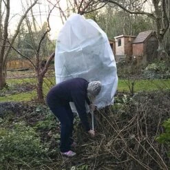 Ultimate Protection 50GSM Frost Fleece Plant Jacket - 1.6m Wide X 2m High -Garden Pro Shop Fleece20Cover201000x100020858kb2