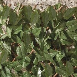 Expandable Artificial Ivy Hedge Trellis 5 Expandable Artificial Ivy Hedge Trellis -Garden Pro Shop G1041 3 1000x1000 1