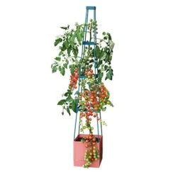 Garden Grow Self Watering Tomato Tower -Garden Pro Shop G2202 4 Tier Self Watering Tomato Tower CO with toms 2000x2000 1