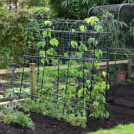 Garden Gear Pea & Bean Tunnel 1.8 X 1.8m 1 Garden Gear Pea & Bean Tunnel 1.8 X 1.8m