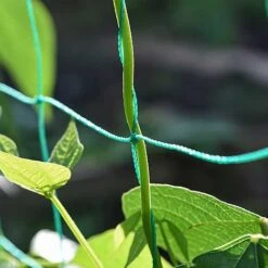 Garden Gear Pea & Bean Tunnel 1.8 X 1.8m 7 Garden Gear Pea & Bean Tunnel 1.8 X 1.8m -Garden Pro Shop G4460 PEATUNNEL 3