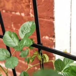 Garden Pro Shop -Garden Pro Shop G447320TREL FANGARDEN202202000x2000