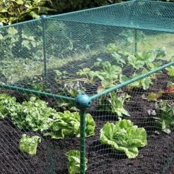 Build-a-Cage Modular Fruit & Vegetable Cage Kit - 0.625m High With Butterfly Mesh -Garden Pro Shop GLD 0.625PIC5 1