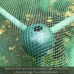 Soft Butterfly Mesh Netting For Cabbages Brassicas & Plants - 4m Wide -Garden Pro Shop GLD20BUILD20A20CAGE20PIC20100020x100020850kb
