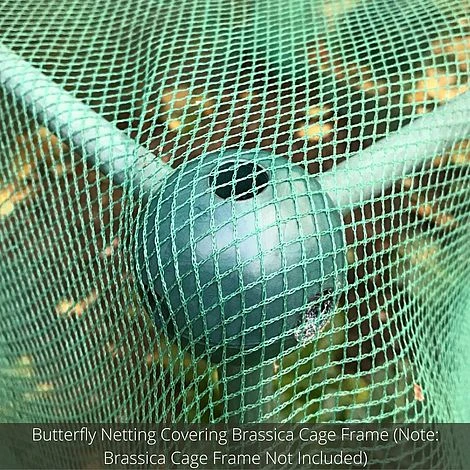 Soft Butterfly Mesh Netting For Cabbages Brassicas & Plants - 8m Wide 4 Soft Butterfly Mesh Netting For Cabbages Brassicas & Plants - 8m Wide - Image 4