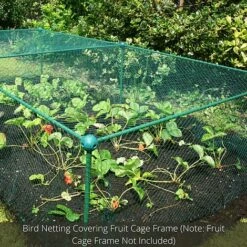 Bird Block Soft Bird Mesh Netting For Fruit Veg & Plants - 8m Wide -Garden Pro Shop GLD20Build20a20Cage201000x100020840kb1