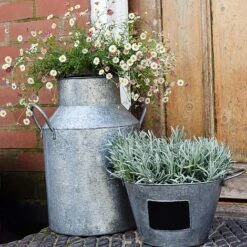 Galvanised Milk Churn H42cm -Garden Pro Shop GMC42 2