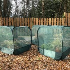 MiniPop Pop-Up Mini Plant & Seedling Cover - 50x50x50cm -Garden Pro Shop GPN050 01P 1000x1000 1