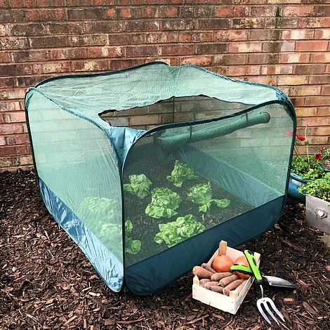 Pop Up Strawberry & Salad Fruit Cage Plant Cover 1 Pop Up Strawberry & Salad Fruit Cage Plant Cover