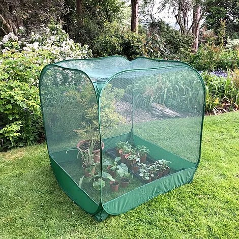 Pop Up Fruit Cage & Brassica Grow-House - 1.35m High 2 Pop Up Fruit Cage & Brassica Grow-House - 1.35m High - Image 2