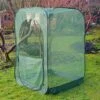 Pop Up Raspberry Fruit Cage & Plant Cover