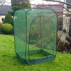 Pop Up Raspberry Fruit Cage & Plant Cover -Garden Pro Shop GPN100 08PIC3