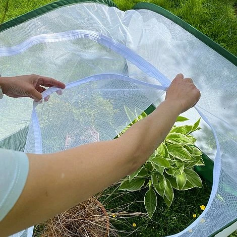 Pop Up Insect Net Fruit Cage & Vegetable Protection Cover 4 Pop Up Insect Net Fruit Cage & Vegetable Protection Cover - Image 4
