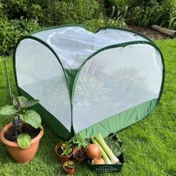 Pop Up Insect Net Fruit Cage & Vegetable Protection Cover 8 Pop Up Insect Net Fruit Cage & Vegetable Protection Cover -Garden Pro Shop GPN100 092020125 09201000X100020847KB