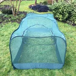 Giant Pop Up Fruit Cage & Plant Protection Cover -Garden Pro Shop GPN100 50PIC1