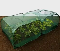 Giant Pop Up Fruit Cage & Plant Protection Cover -Garden Pro Shop GPN100 50PIC6