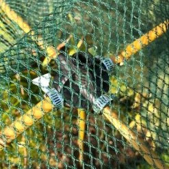 Bamboo Cane & Plant Stick Connector Balls - Pk 8 -Garden Pro Shop GSK2025PIC2