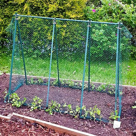 Easy Grow Pea Frame & Climbing Plant Support Trellis - 0.75 X 1.2 X 1m H 1 Easy Grow Pea Frame & Climbing Plant Support Trellis - 0.75 X 1.2 X 1m H