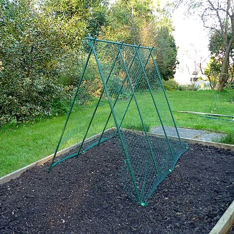 Easy Grow Pea Frame & Climbing Plant Support Trellis - 0.75 X 1.2 X 1m H 2 Easy Grow Pea Frame & Climbing Plant Support Trellis - 0.75 X 1.2 X 1m H - Image 2