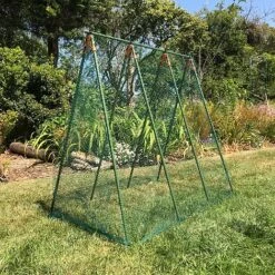 Pea Master Heavy Duty Pea & Climbing Plant Support Frame - 0.75 X 1.2 X 1.2m H -Garden Pro Shop GSK2259HDPIC5