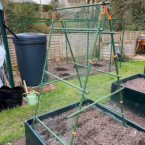 Cucumber Trellis & Pea Support Frame For Heavy Climbing Plants 2 Cucumber Trellis & Pea Support Frame For Heavy Climbing Plants - Image 2