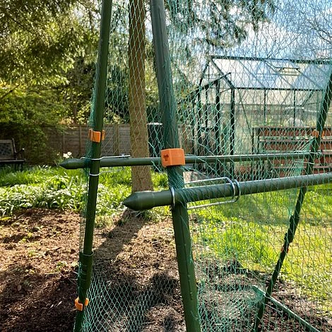 Cucumber Trellis & Pea Support Frame For Heavy Climbing Plants 4 Cucumber Trellis & Pea Support Frame For Heavy Climbing Plants - Image 4