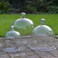 Glass Bell Cloche 6 Glass Bell Cloche -Garden Pro Shop Glass Bell Cloche 5005
