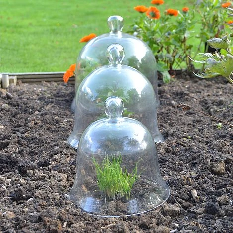 Glass Bell Cloche 2 Glass Bell Cloche - Image 2