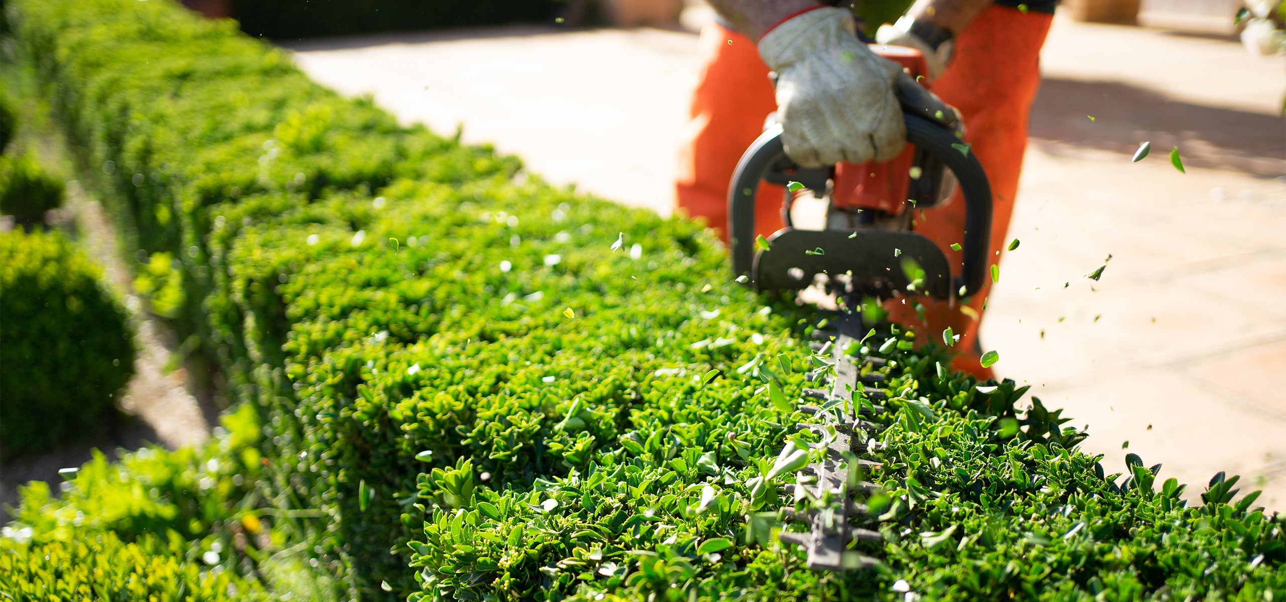 Garden Pro Shop -Garden Pro Shop Hedge trimmer banner feature min