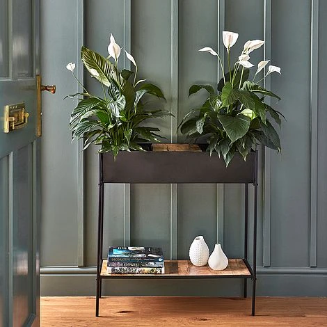 Indoor Kensington Metal Planter Stand In Black H76Cm W70Cm 2 Indoor Kensington Metal Planter Stand In Black H76Cm W70Cm - Image 2