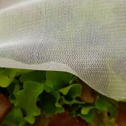 Insect Mesh Carrot & Plant Protection Netting - 1.5m Wide - Various Sizes -Garden Pro Shop Insect20Netting20947x94720847kb