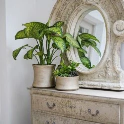 Luxe Bowl White Gold H14CM D24CM -Garden Pro Shop LBWG24 3