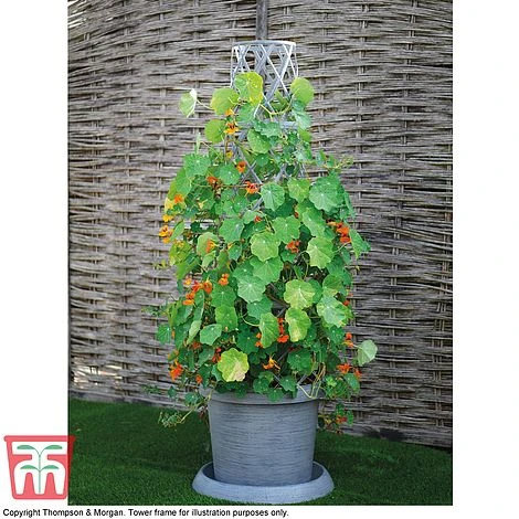 Modern Grey Patio Pot 3 Modern Grey Patio Pot - Image 3