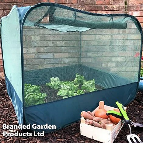 Low Net Pop Up 1 Low Net Pop Up