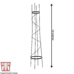 Open Top Obelisk 6 Open Top Obelisk -Garden Pro Shop OBE KB0600 C