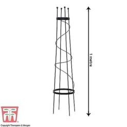 Open Top Obelisk 7 Open Top Obelisk -Garden Pro Shop OBE KB0600 D